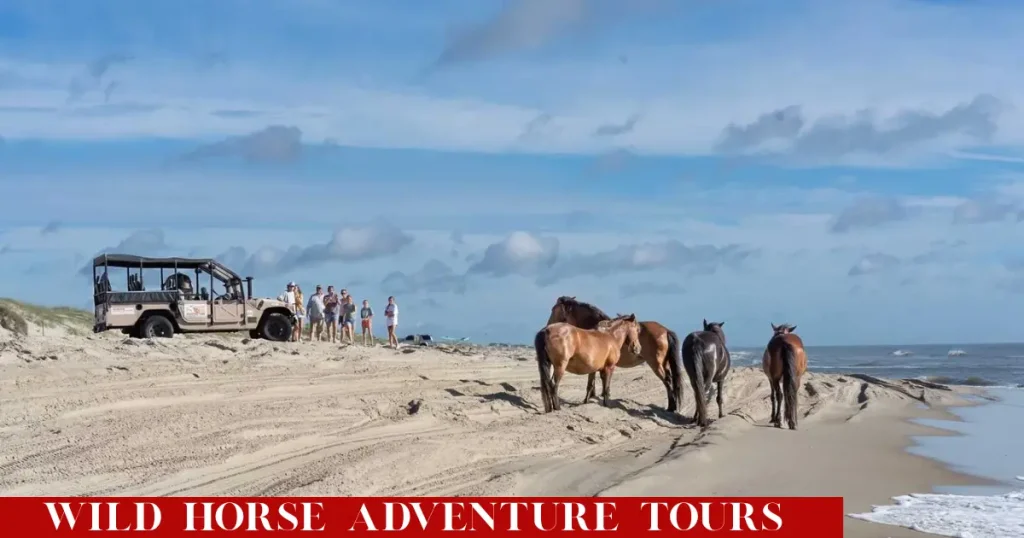 Wild Horse Adventure Tours – Ultimate Guide to Wildlife Experiences and Scenic Travel wild horse adventure tours